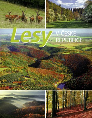 Lesy v české republice